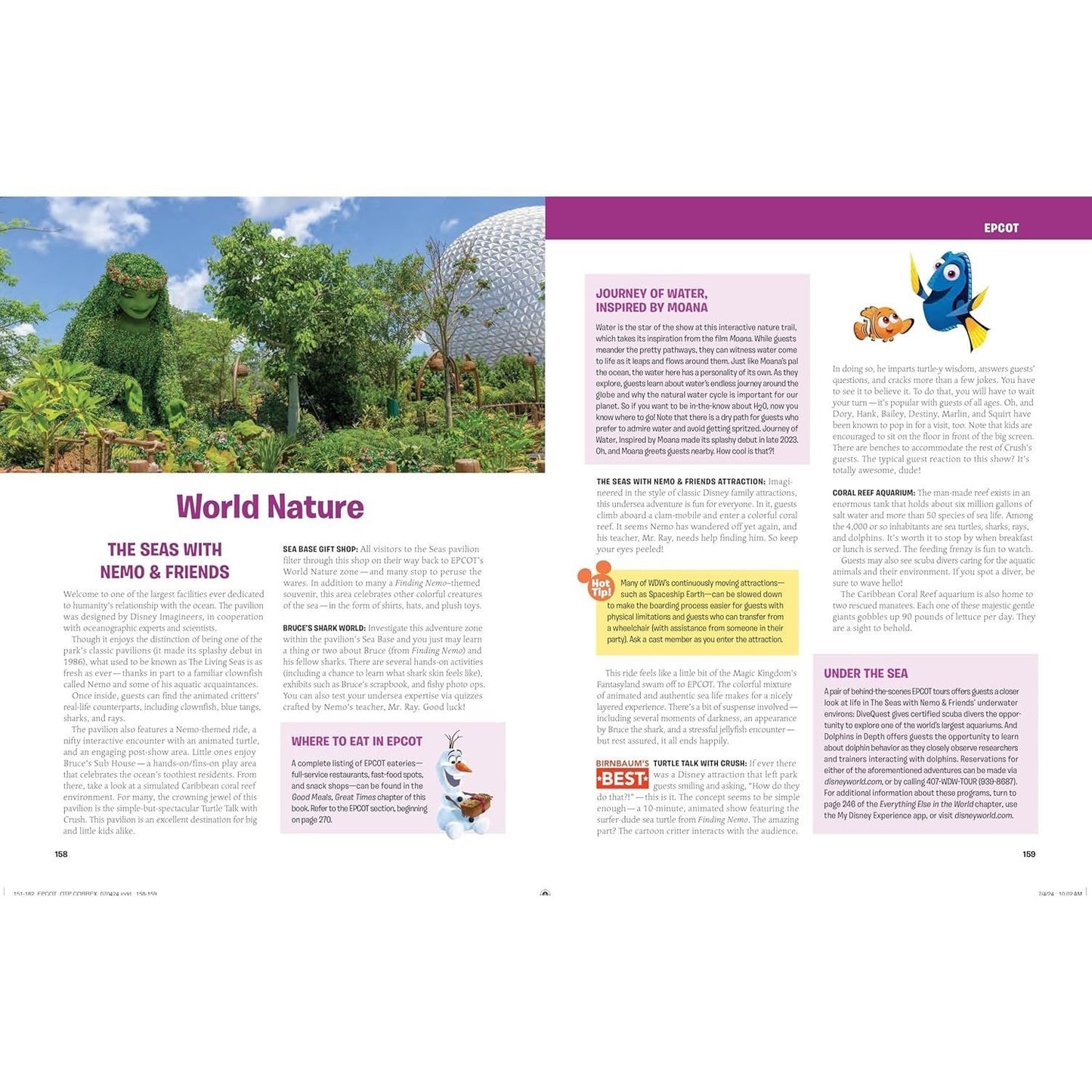 Birnbaum's 2025 Walt Disney World: The Official Vacation Guide (Spiral Bound)