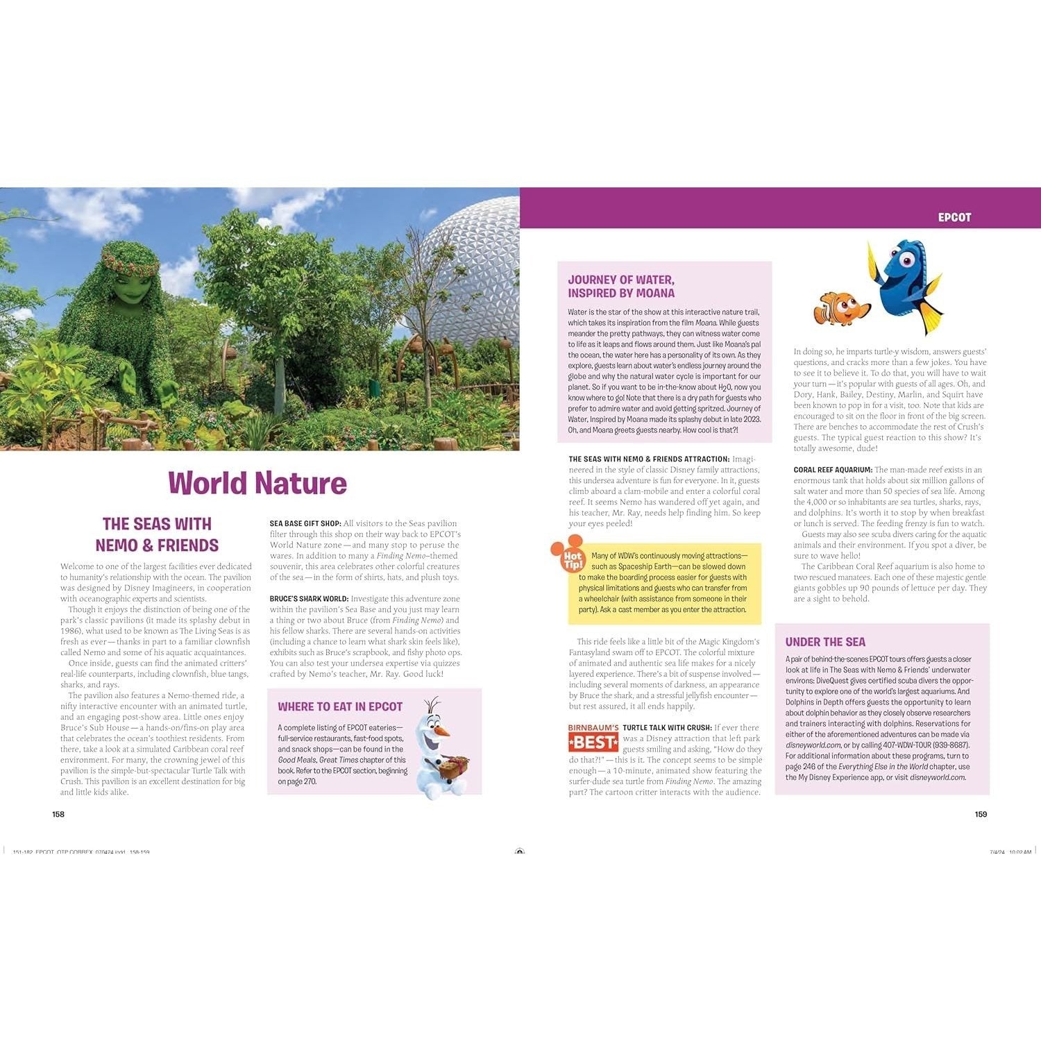 Birnbaum's 2025 Walt Disney World: The Official Vacation Guide (Spiral Bound)