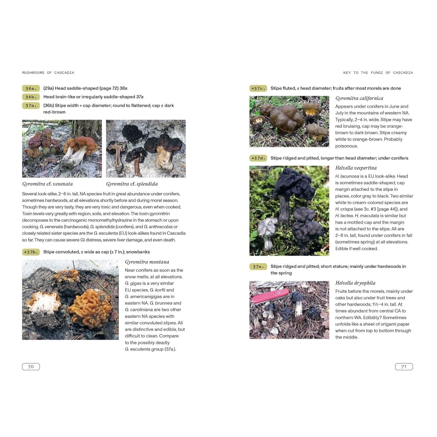 Mushrooms of Cascadia, Second Edition: An Illustrated Key to the Fungi of the Pacific Northwest