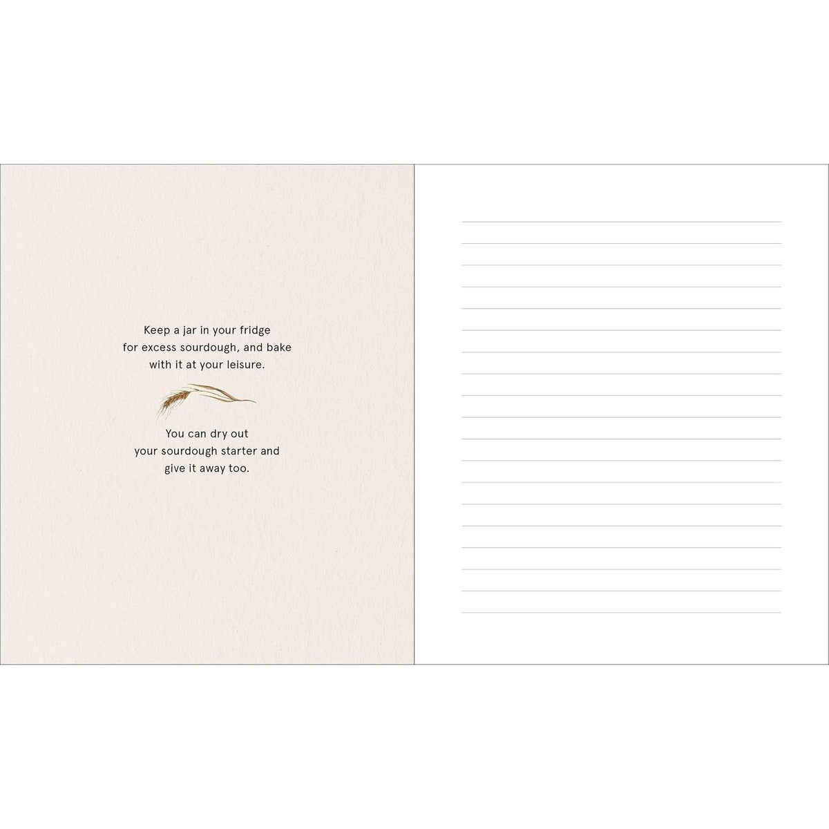 The Bread Baker's Notebook