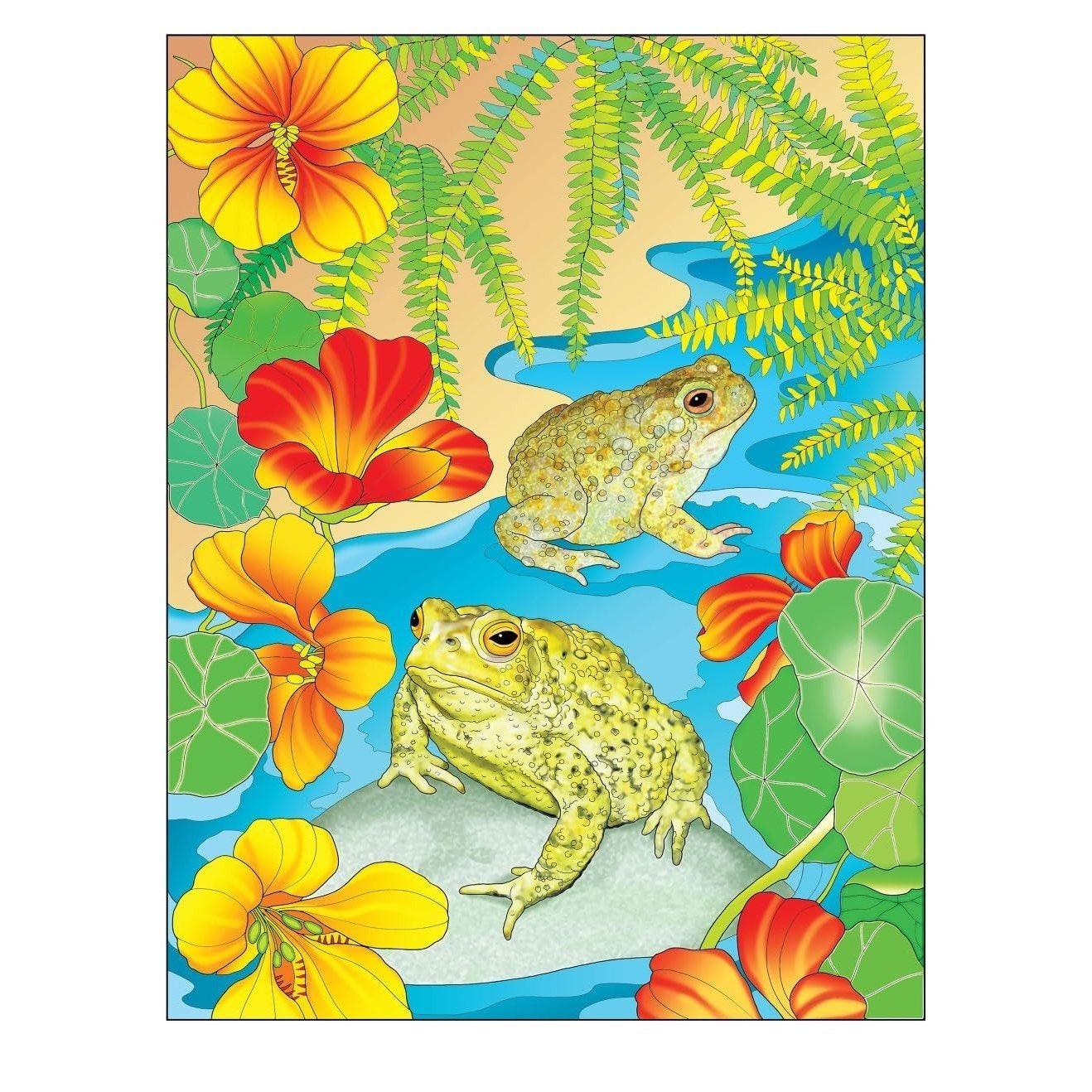 Creative Haven Forest & Woodland Wildlife Coloring Book