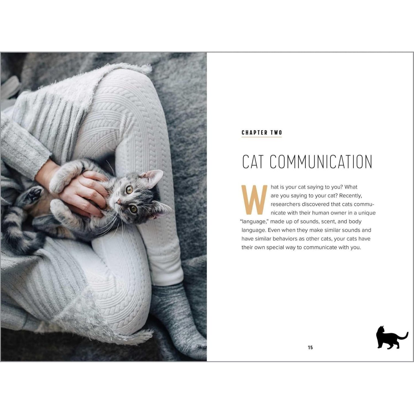 Understanding Cat Behavior: A Compassionate Guide to Training and Communication