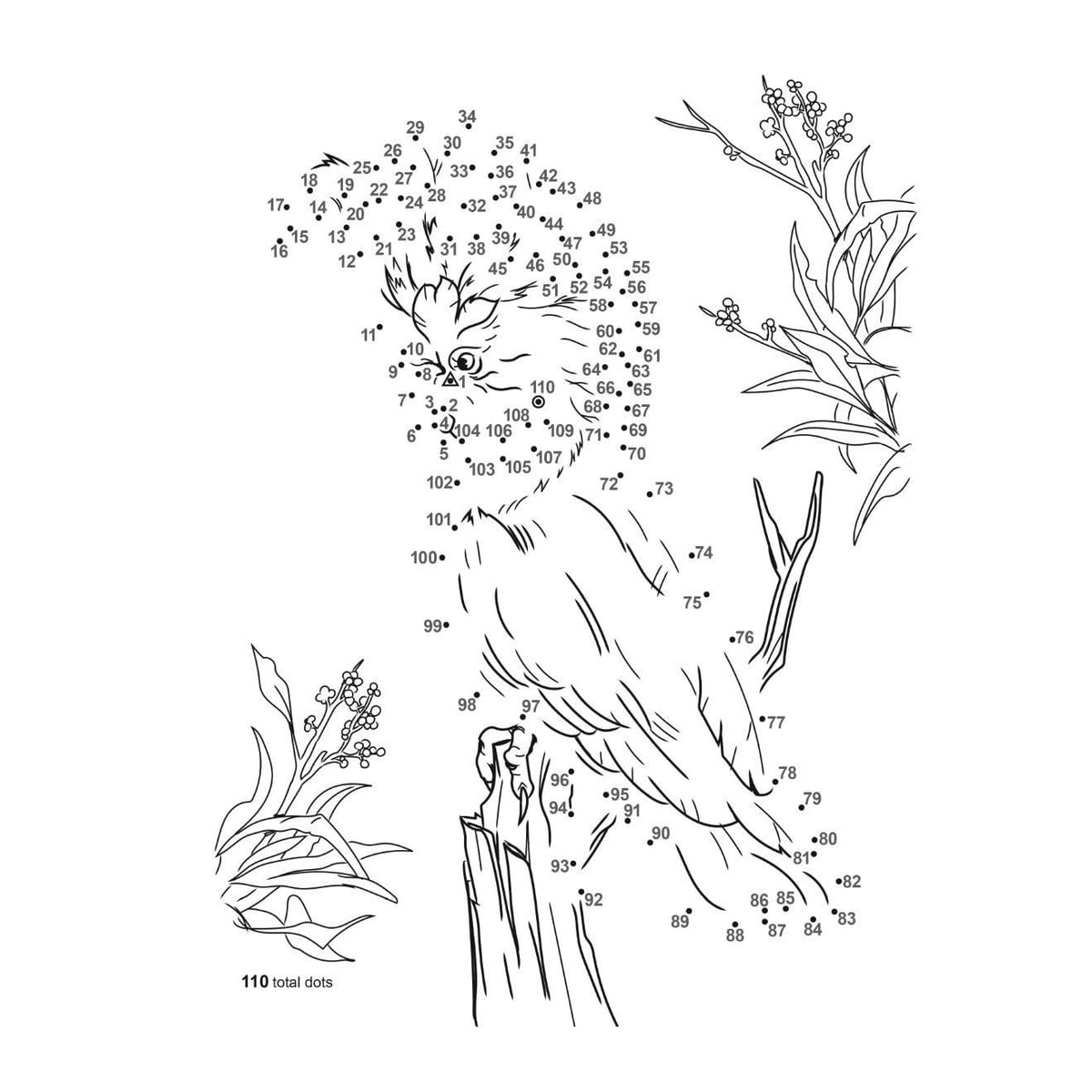 Birds Dot-To-Dot Coloring Book