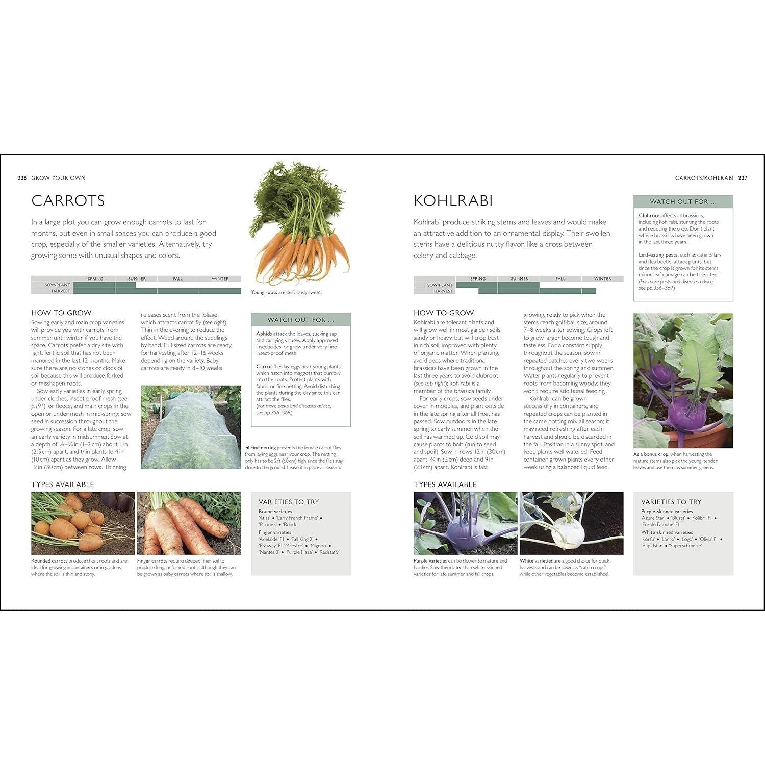 The Complete Gardener's Guide: The One-Stop Guide to Plan, Sow, Plant, and Grow Your Garden (Spiral Bound)