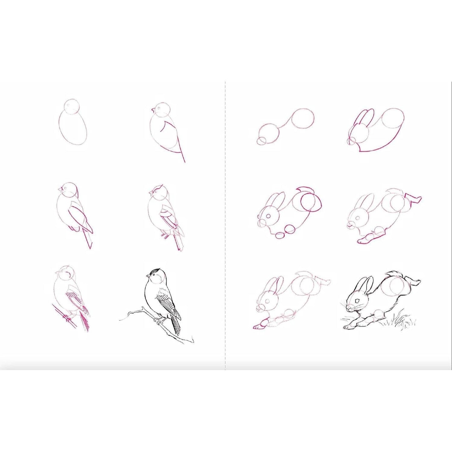 Draw 50 Animals: The Step-By-Step Way to Draw Elephants, Tigers, Dogs, Fish, Birds, and Many More... (Spiral Bound)