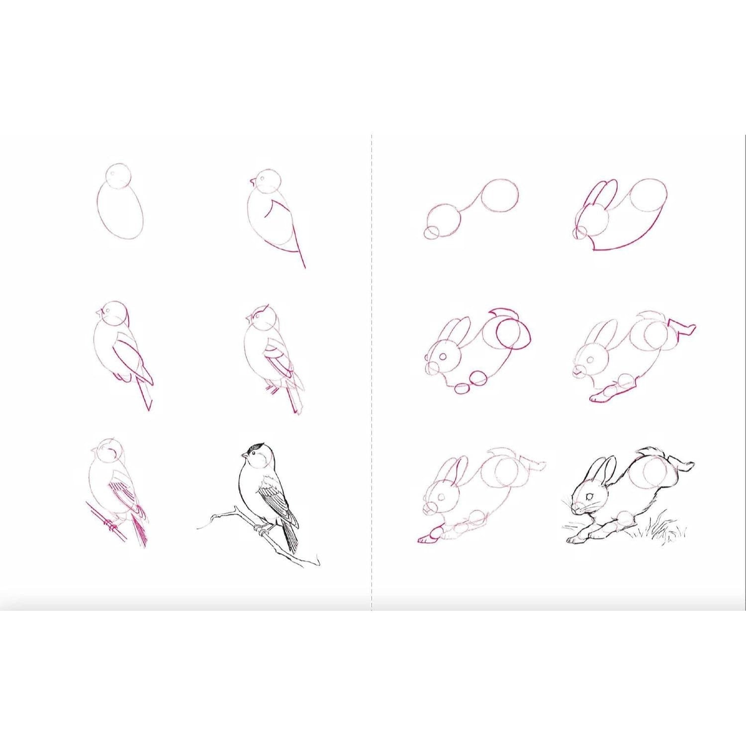 Draw 50 Animals: The Step-By-Step Way to Draw Elephants, Tigers, Dogs, Fish, Birds, and Many More... (Spiral Bound)