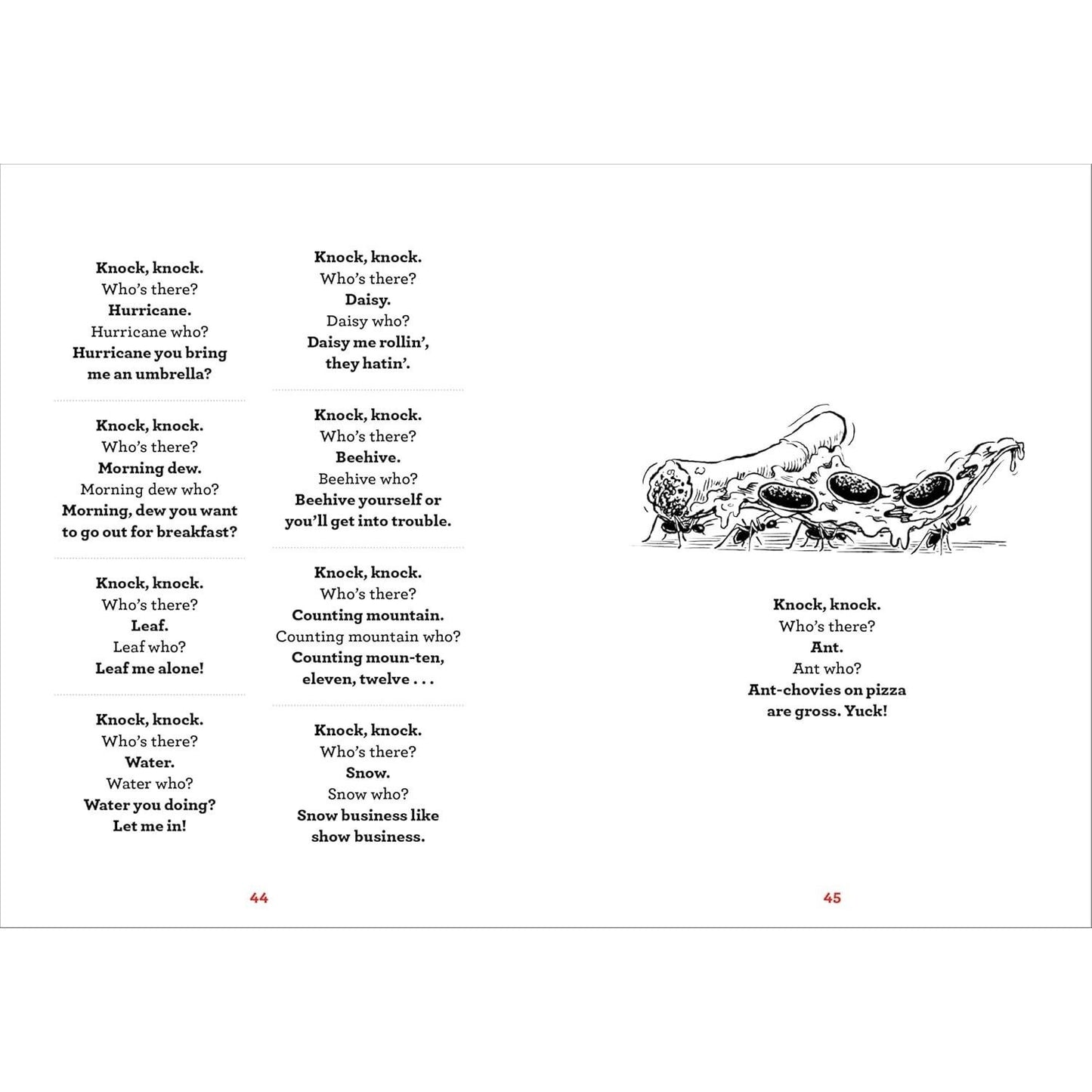 A Whole Lotta Knock-Knock Jokes: Squeaky-Clean Family Fun (Silly Jokes) (Spiral Bound)