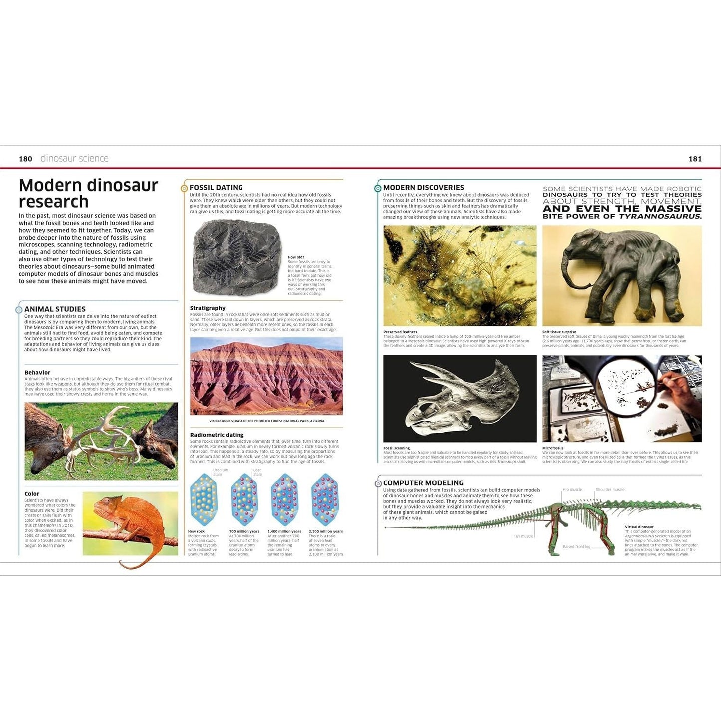 Knowledge Encyclopedia Dinosaur! (DK Knowledge Encyclopedias) (Spiral Bound)