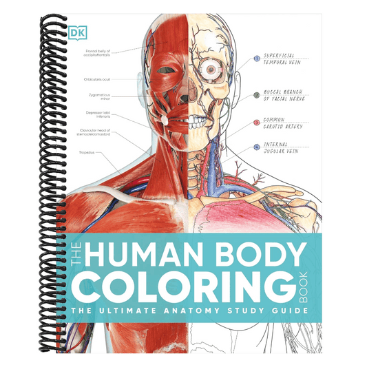 The Human Body Coloring Book: The Ultimate Anatomy Study Guide, Second Edition (DK Human Body Guides)