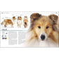 The Complete Dog Breed Book, New Edition (Previously Published as Top Dog) (DK Definitive Pet Breed Guides) (Spiral Bound)