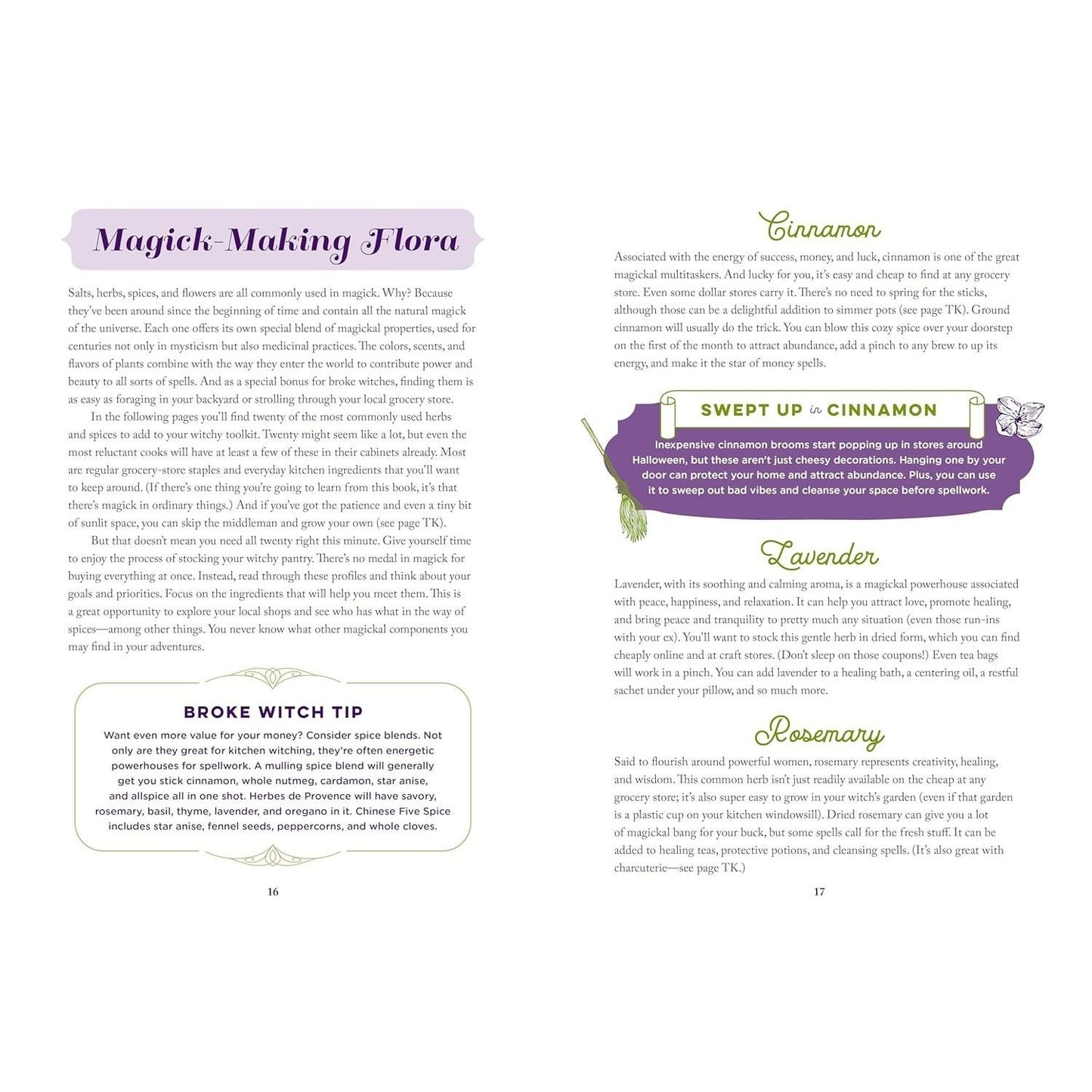 The Broke Witch: Magick Spells and Powerful Potions That Use What You Can Grow, Find, or Already Have