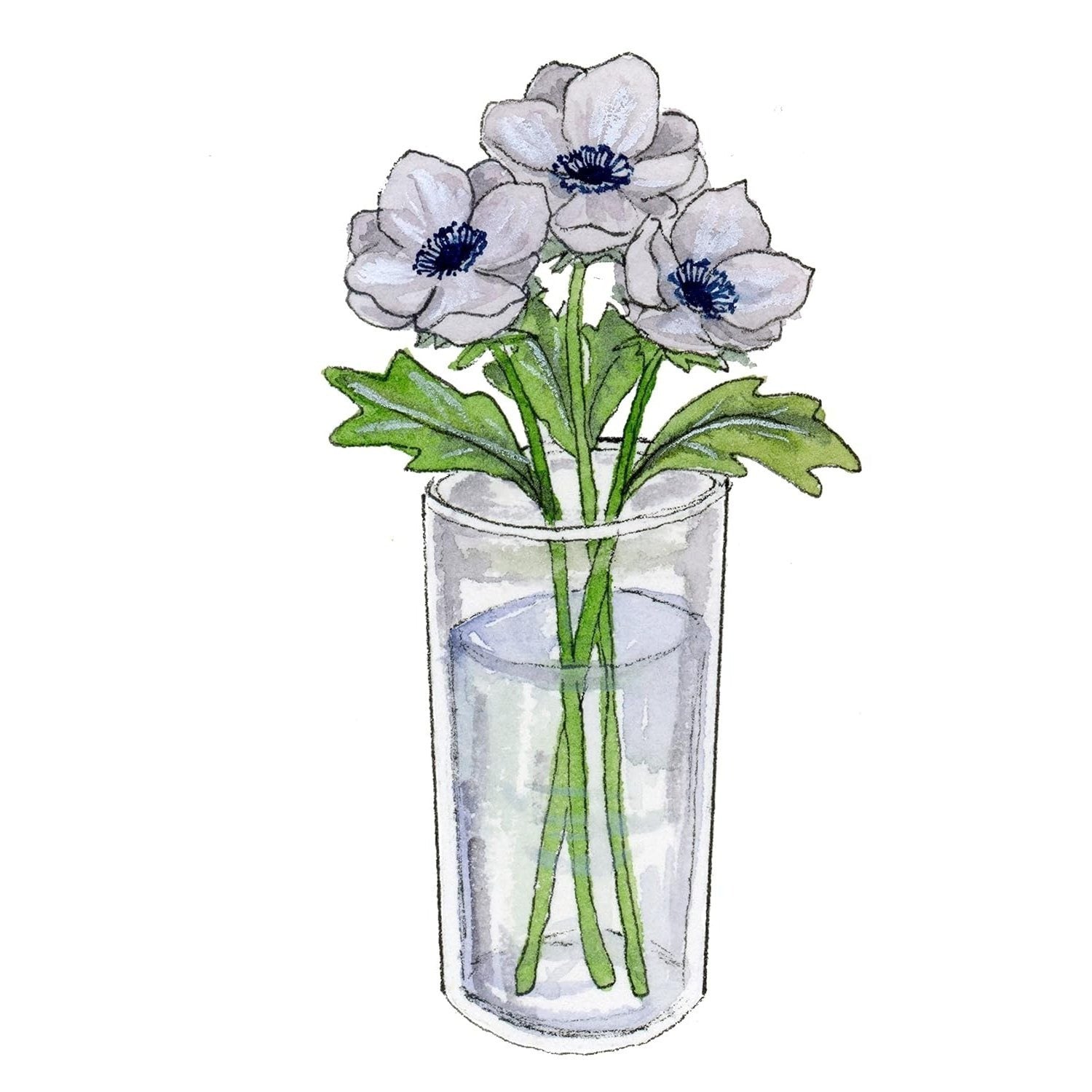 Watercolour Lessons: How to Paint and Unwind in 20 Tutorials (How to Paint with Watercolours for Beginners)