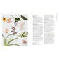 Body Into Balance: An Herbal Guide to Holistic Self-Care (Spiral Bound)