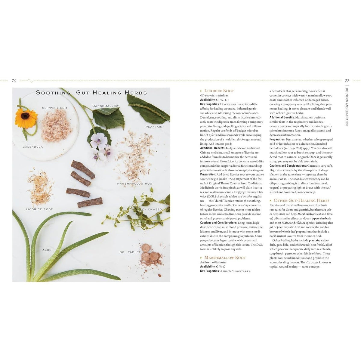 Body Into Balance: An Herbal Guide to Holistic Self-Care (Spiral Bound)