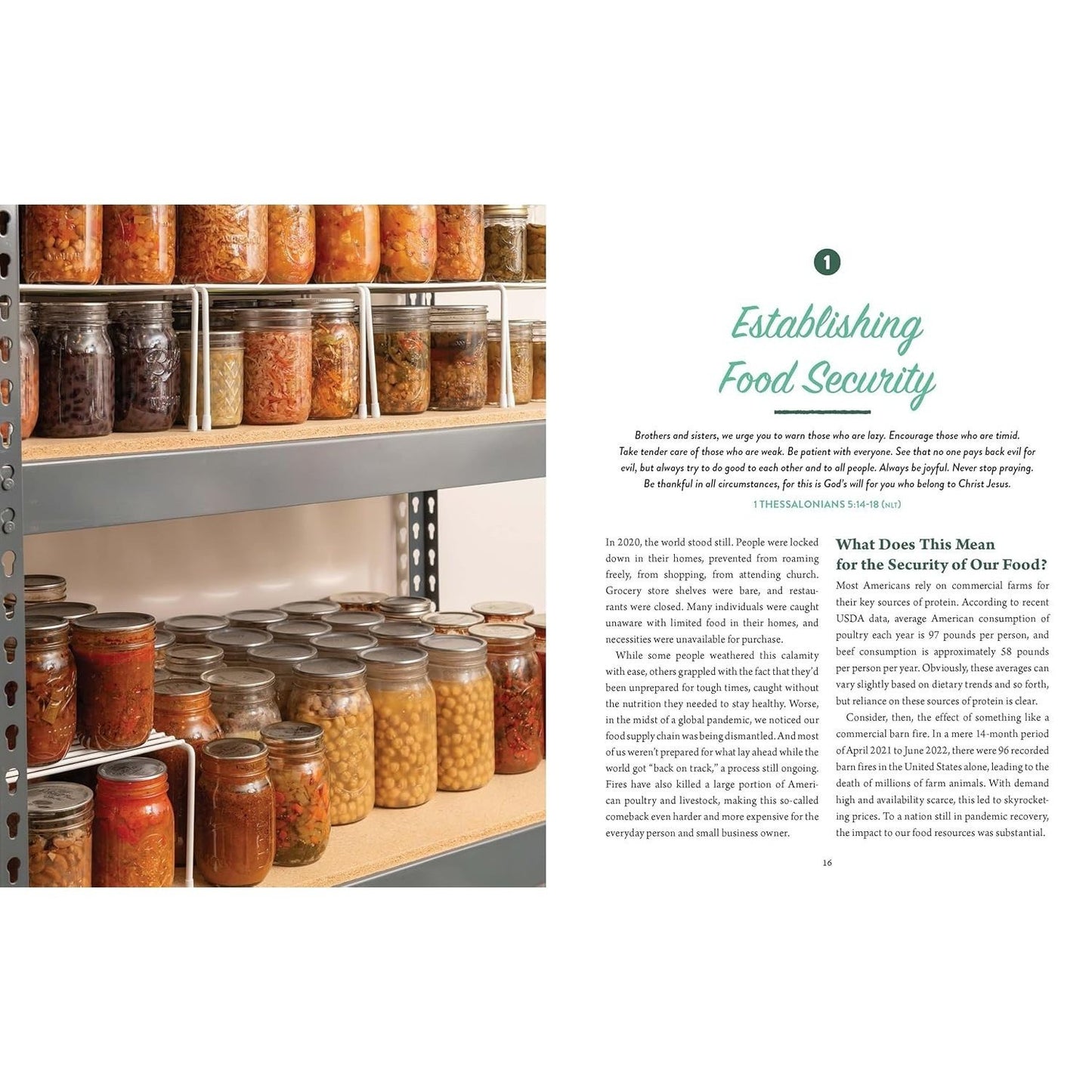 From Seed to Table: A Comprehensive Guide to Gardening, Preserving, and Cooking for Sustainable Living