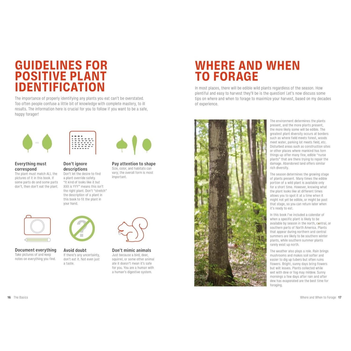 Foraging: Explore Nature's Bounty and Turn Your Foraged Finds Into Flavorful Feasts (Spiral Bound)