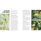 Companion Planting for Beginners: Pair Your Plants for a Bountiful, Chemical-Free Vegetable Garden (Spiral Bound)