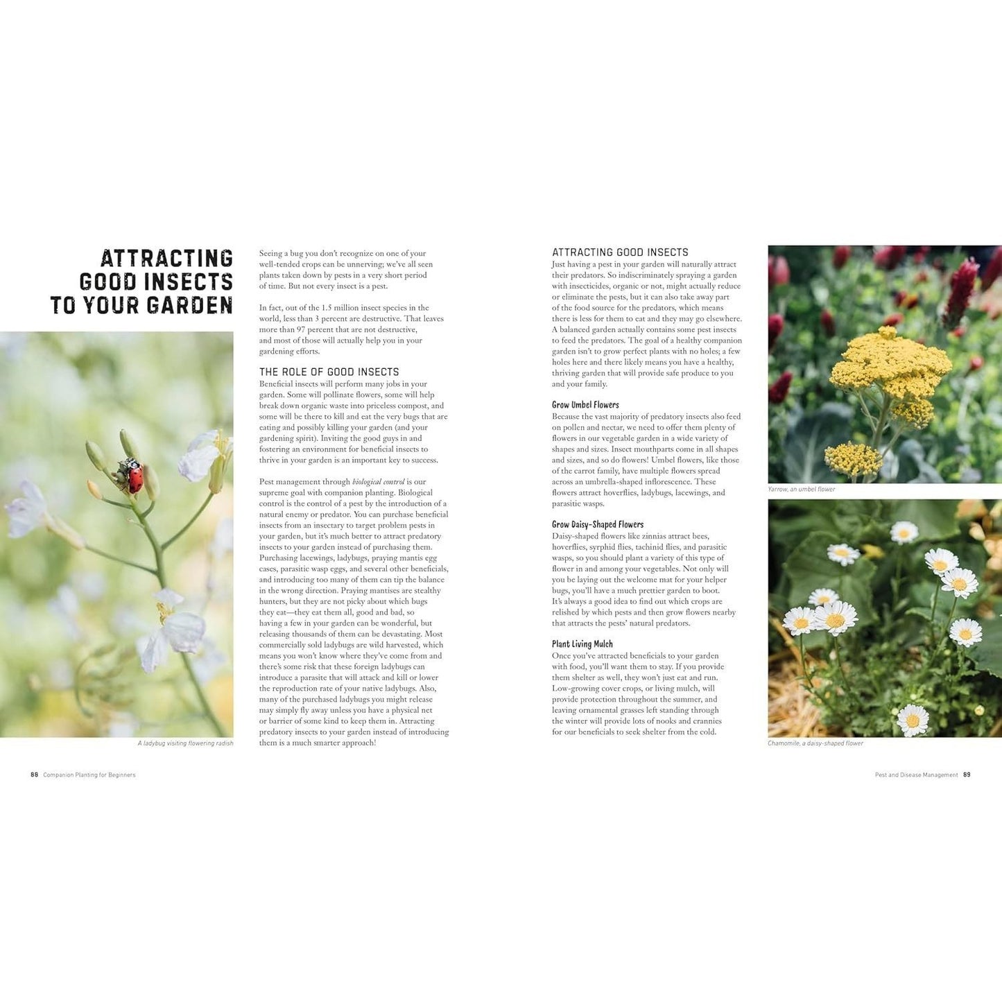 Companion Planting for Beginners: Pair Your Plants for a Bountiful, Chemical-Free Vegetable Garden (Spiral Bound)