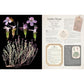 100 Plants That Heal: The Illustrated Herbarium of Medicinal Plants