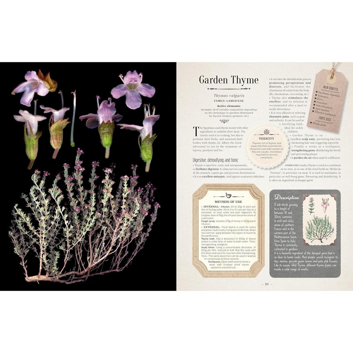 100 Plants That Heal: The Illustrated Herbarium of Medicinal Plants