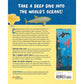 Ocean Activities for Kids: 20 Hands-On Projects to Explore the Sea