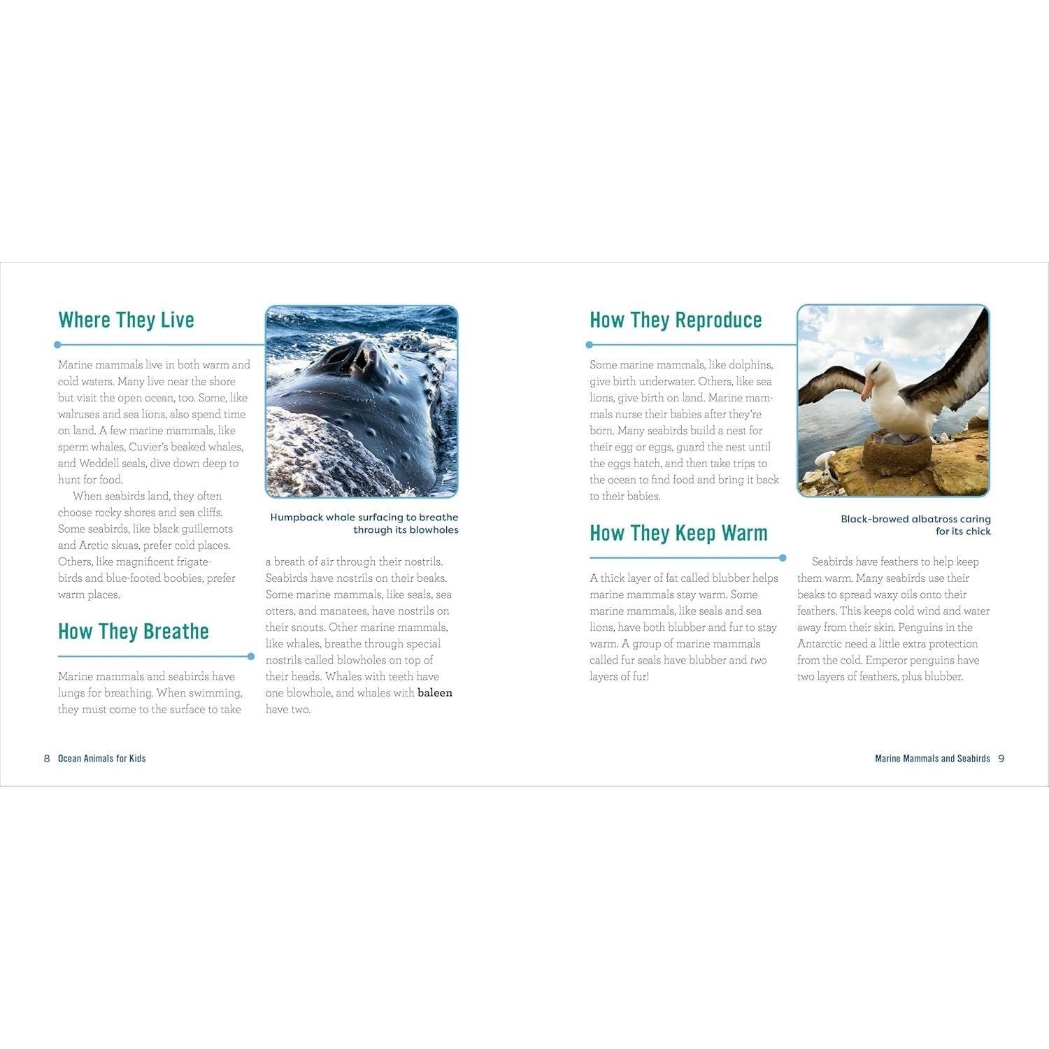 Ocean Animals for Kids: A Junior Scientist's Guide to Whales, Sharks, and Other Marine Life (Junior Scientists)