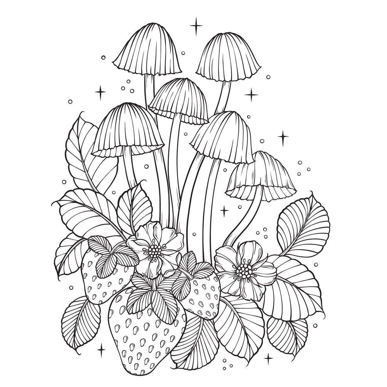 Creative Haven the Art of Mushrooms Coloring Book