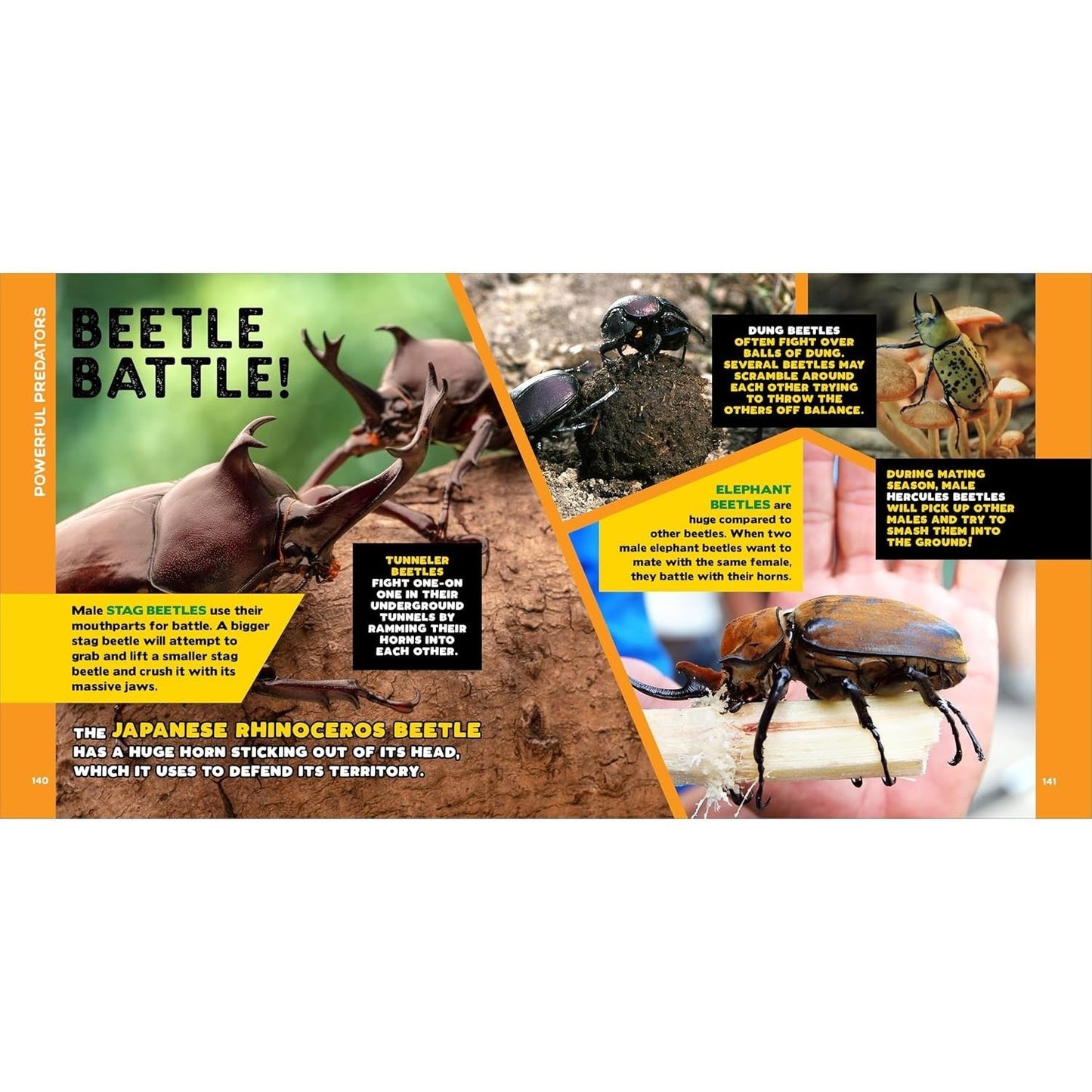 The Fascinating Bug Book for Kids: 500 Startling Facts!