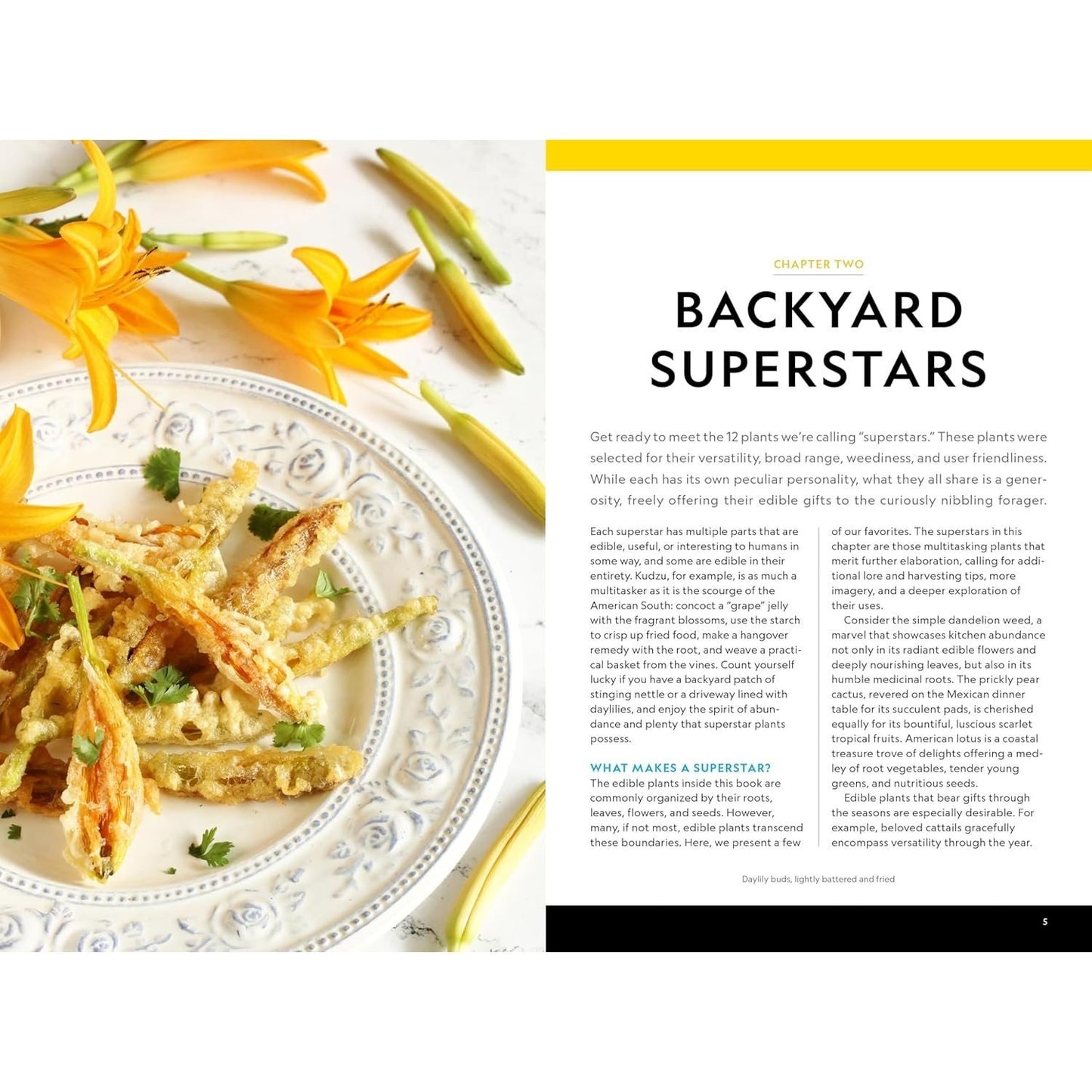 National Geographic Backyard Guide to Edible Wild Plants (National Geographic Backyard Guides)
