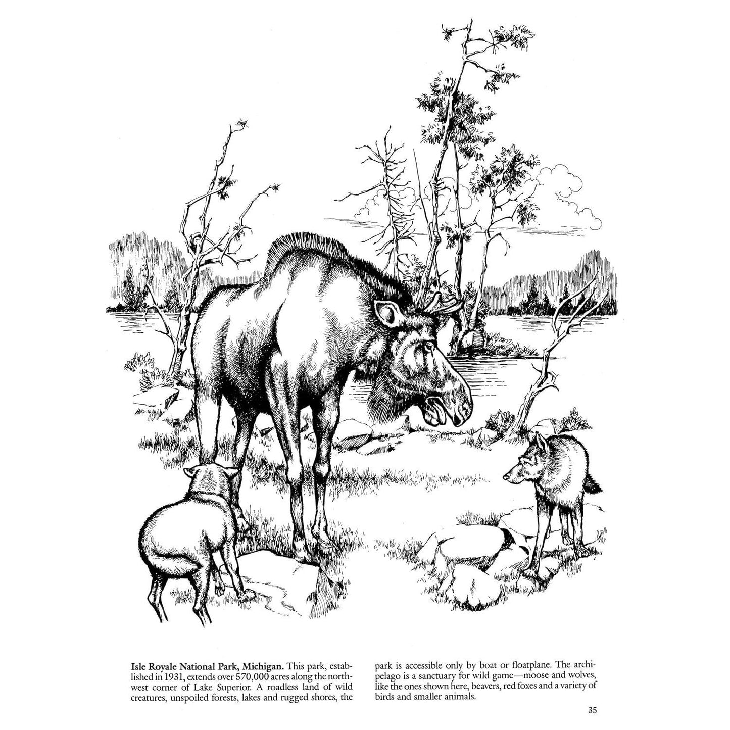 National Parks Coloring Book