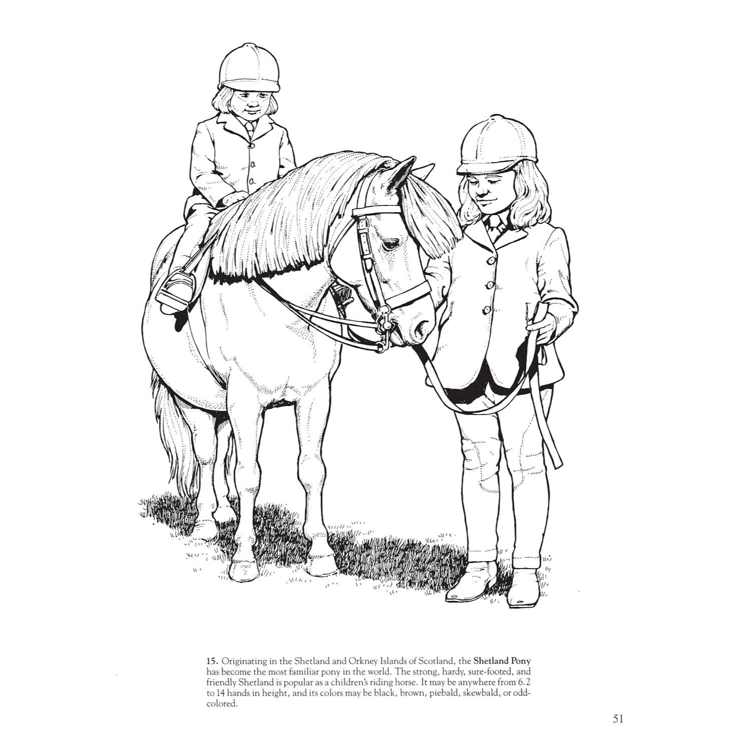 Big Book of Horses to Color
