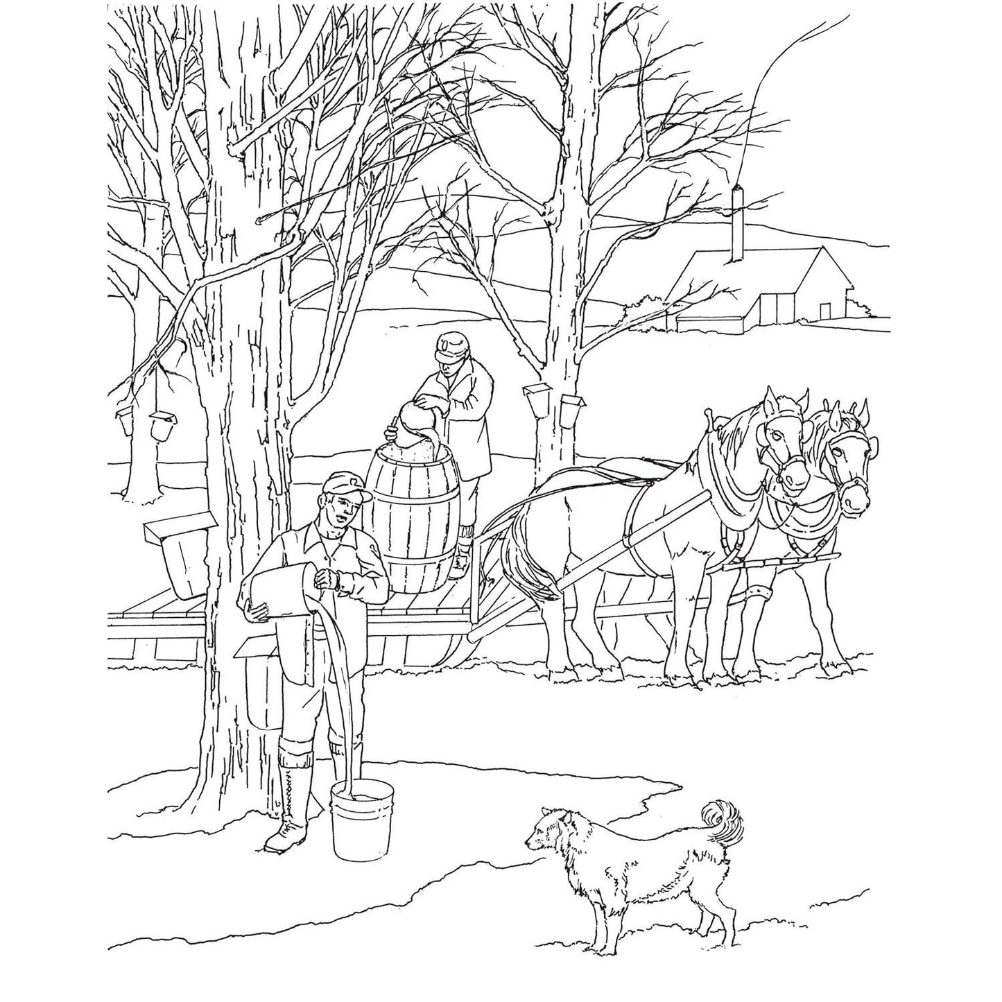 Country Scenes Coloring Book