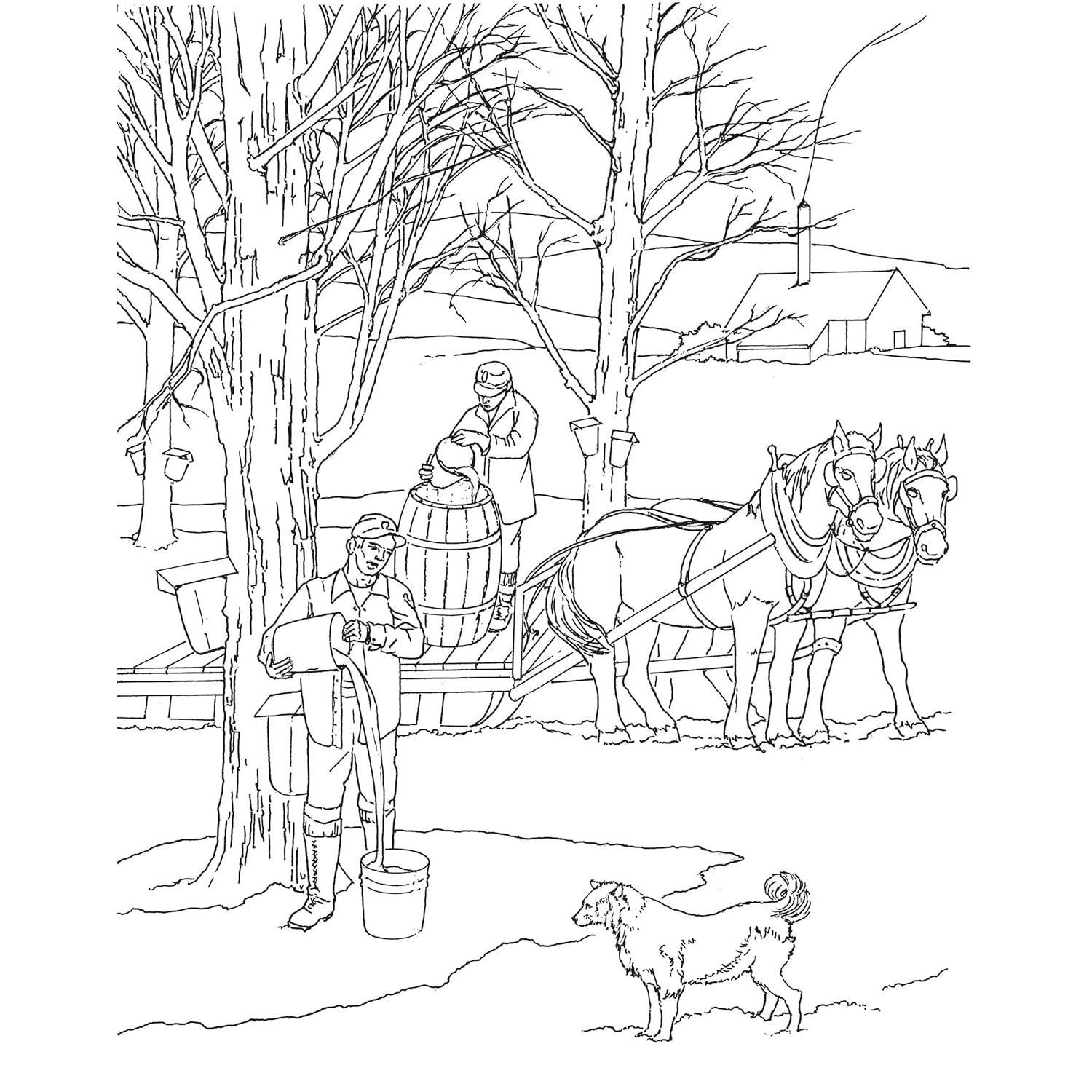 Country Scenes Coloring Book