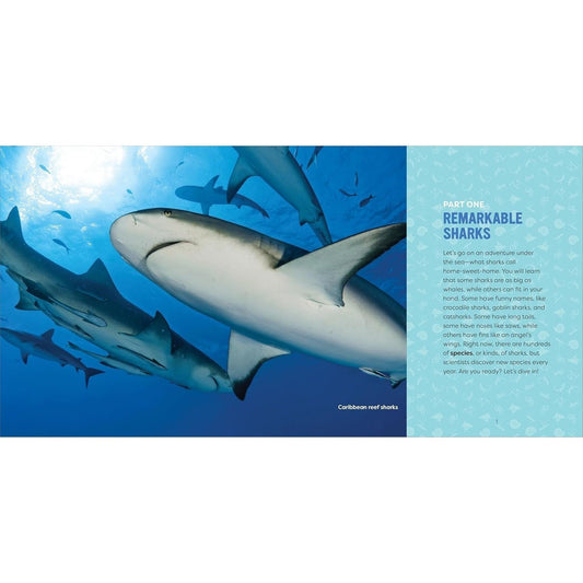 Sharks for Kids: A Junior Scientist's Guide to Great Whites, Hammerheads, and Other Sharks in the Sea