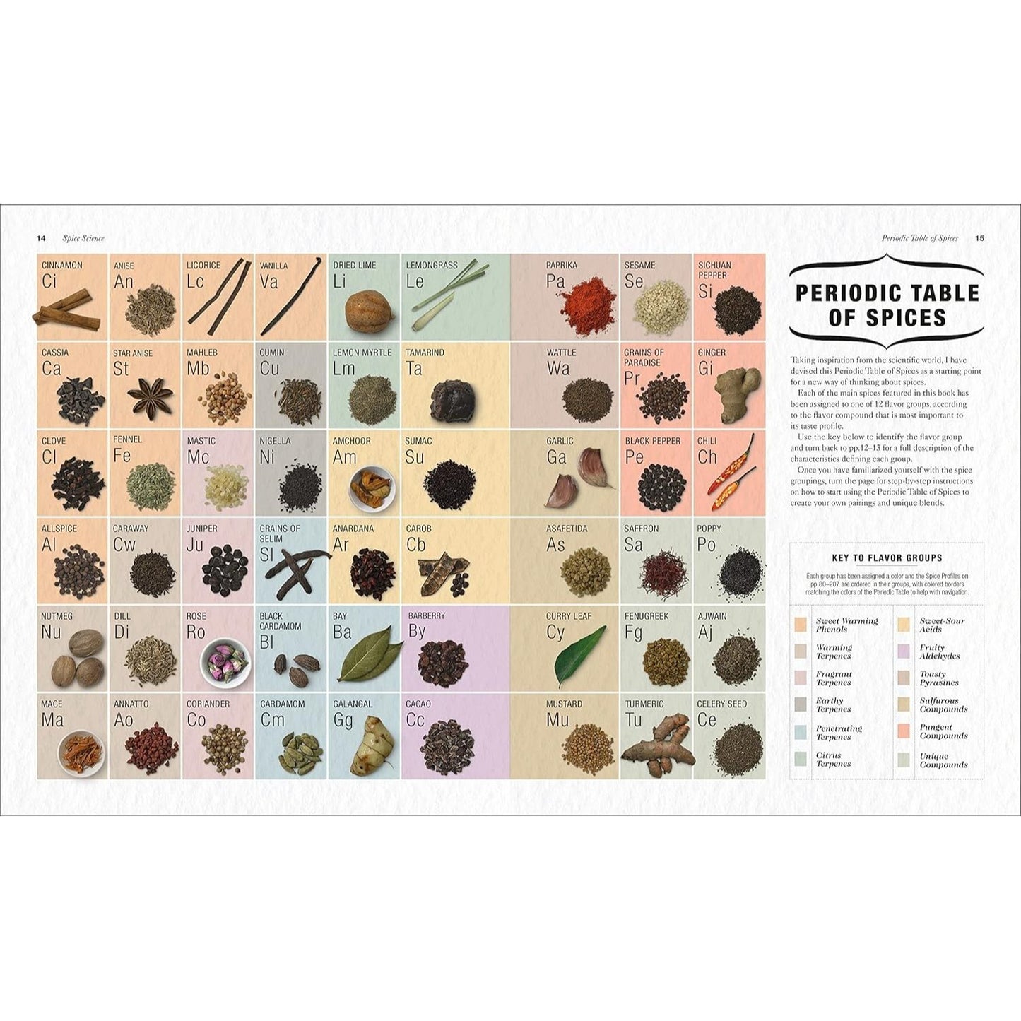 The Science of Spice: Understand Flavor Connections and Revolutionize Your Cooking (Spiral Bound)
