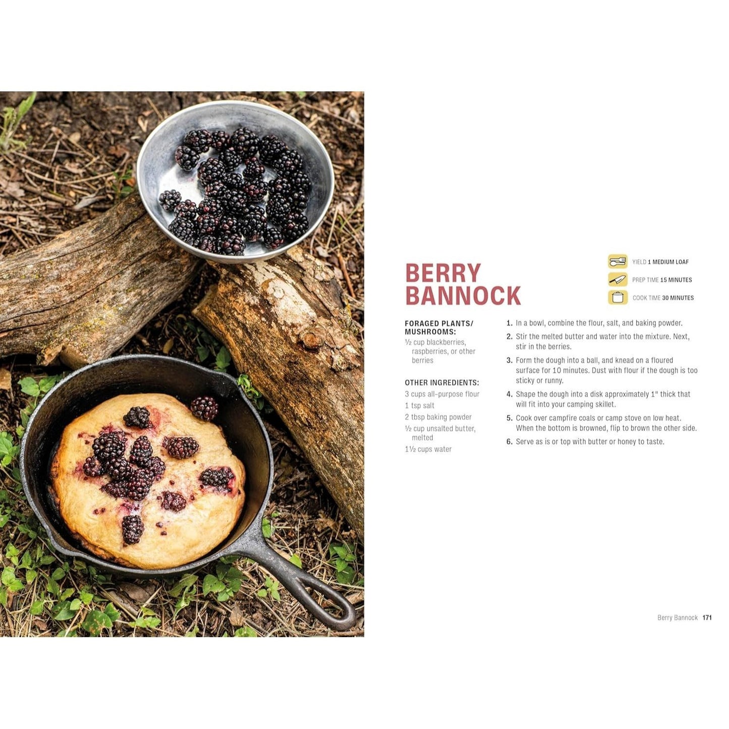 Foraging: Explore Nature's Bounty and Turn Your Foraged Finds Into Flavorful Feasts (Spiral Bound)