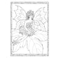 Creative Haven Enchanted Fairies Coloring Book