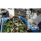 Vegetables Unleashed: A Cookbook