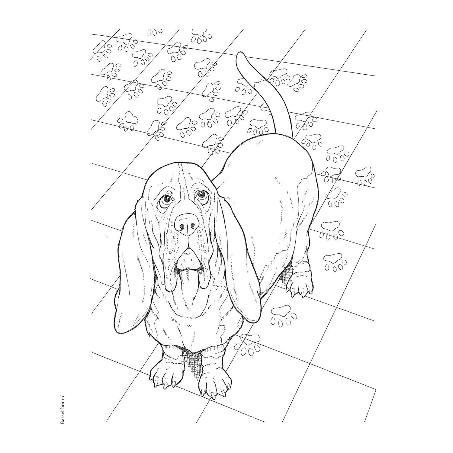 Creative Haven the Dog Lovers' Coloring Book