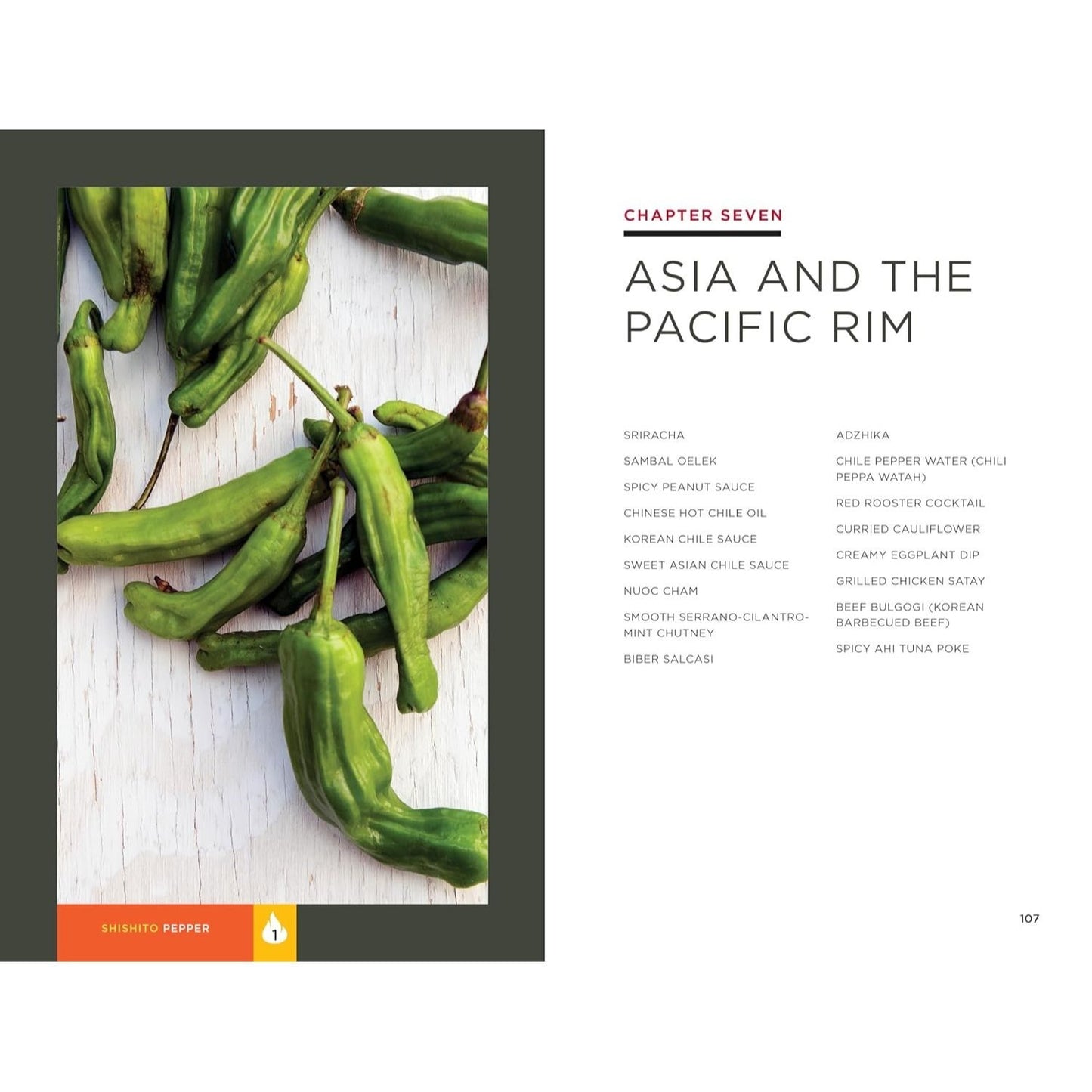 Hot Sauce Cookbook: The Book of Fiery Salsa and Hot Sauce Recipes