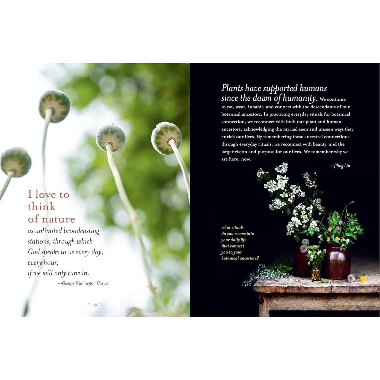 The Generosity of Plants: Shared Wisdom from the Community of Herb Lovers