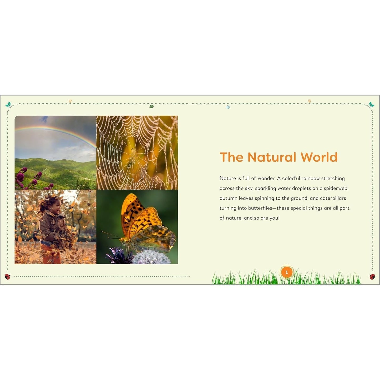 My First Nature Book: All about the Natural World for Kids