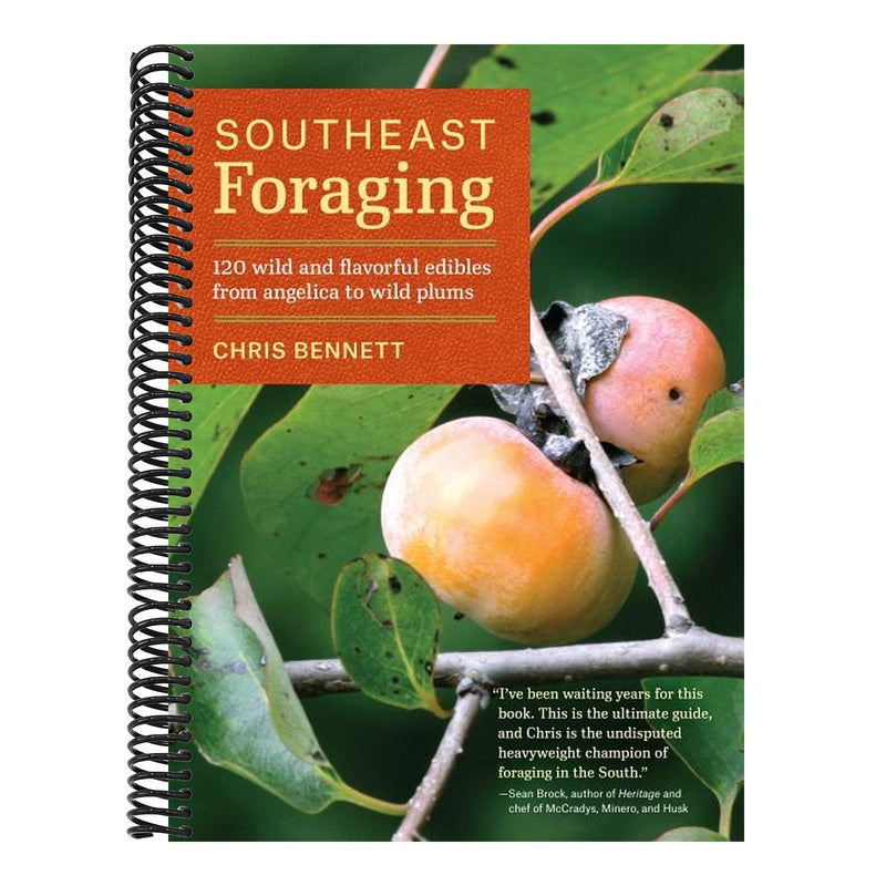 Southeast Foraging: 120 Wild and Flavorful Edibles from Angelica to Wild Plums (Regional Foraging) (Spiral Bound)