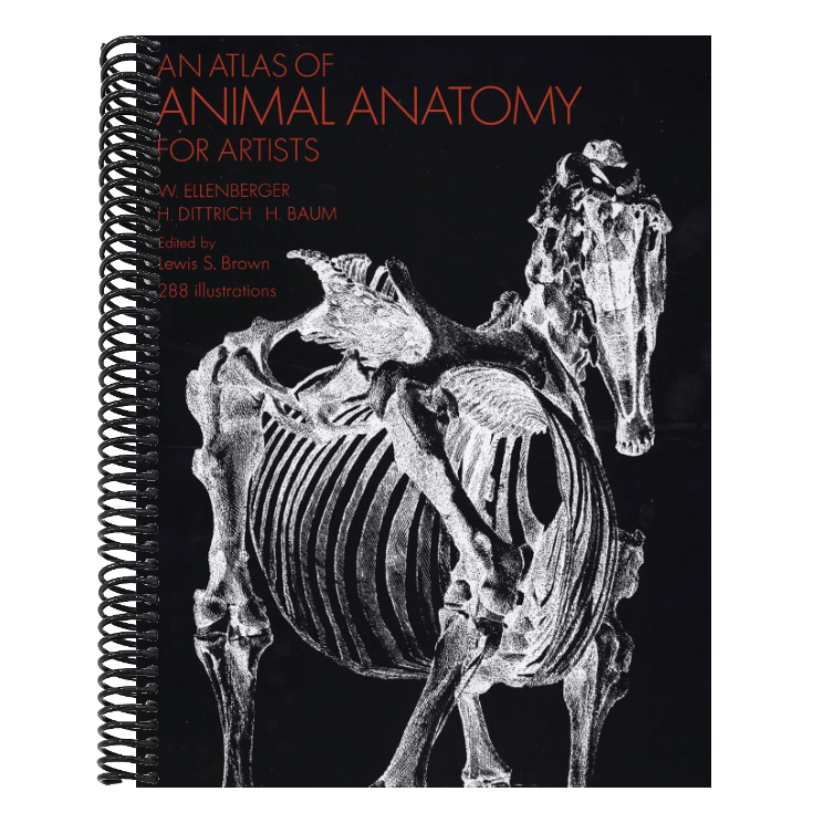 An Atlas of Animal Anatomy for Artists