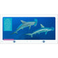 My First Book of Sharks: All about the Largest Fish in the Sea for Kids