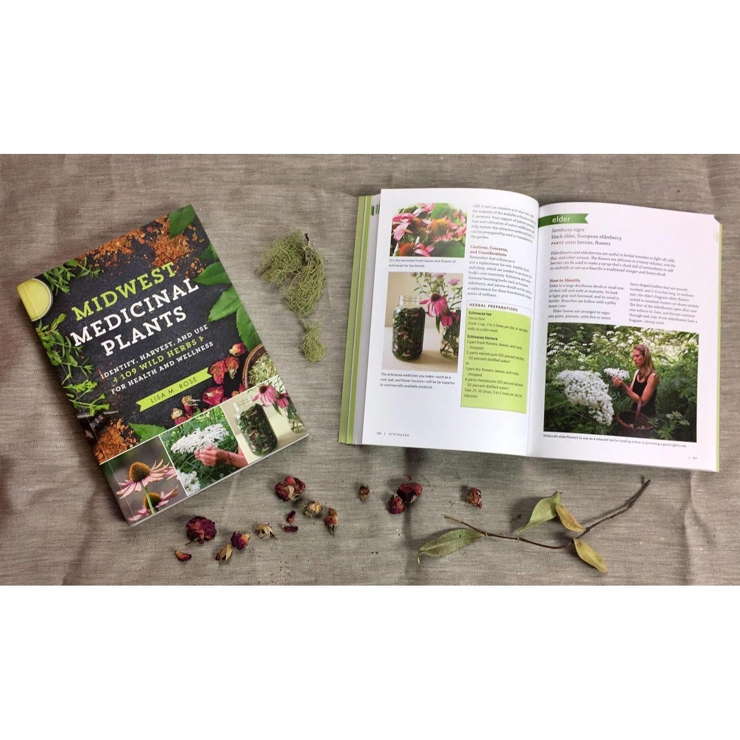Midwest Medicinal Plants: Identify, Harvest, and Use 109 Wild Herbs for Health and Wellness (Medicinal Plants) (Spiral Bound)