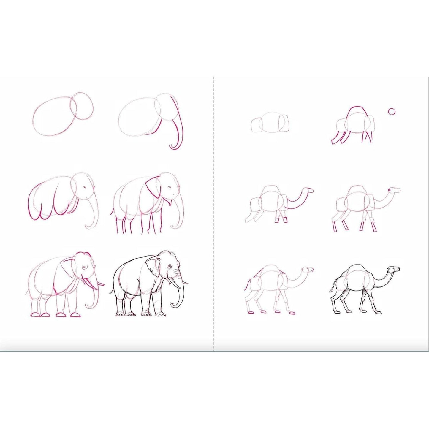 Draw 50 Animals: The Step-By-Step Way to Draw Elephants, Tigers, Dogs, Fish, Birds, and Many More... (Spiral Bound)