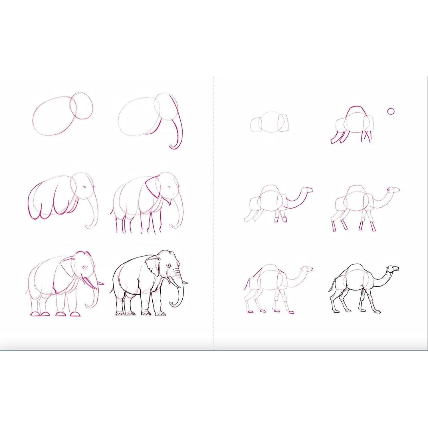 Draw 50 Animals: The Step-By-Step Way to Draw Elephants, Tigers, Dogs, Fish, Birds, and Many More... (Spiral Bound)