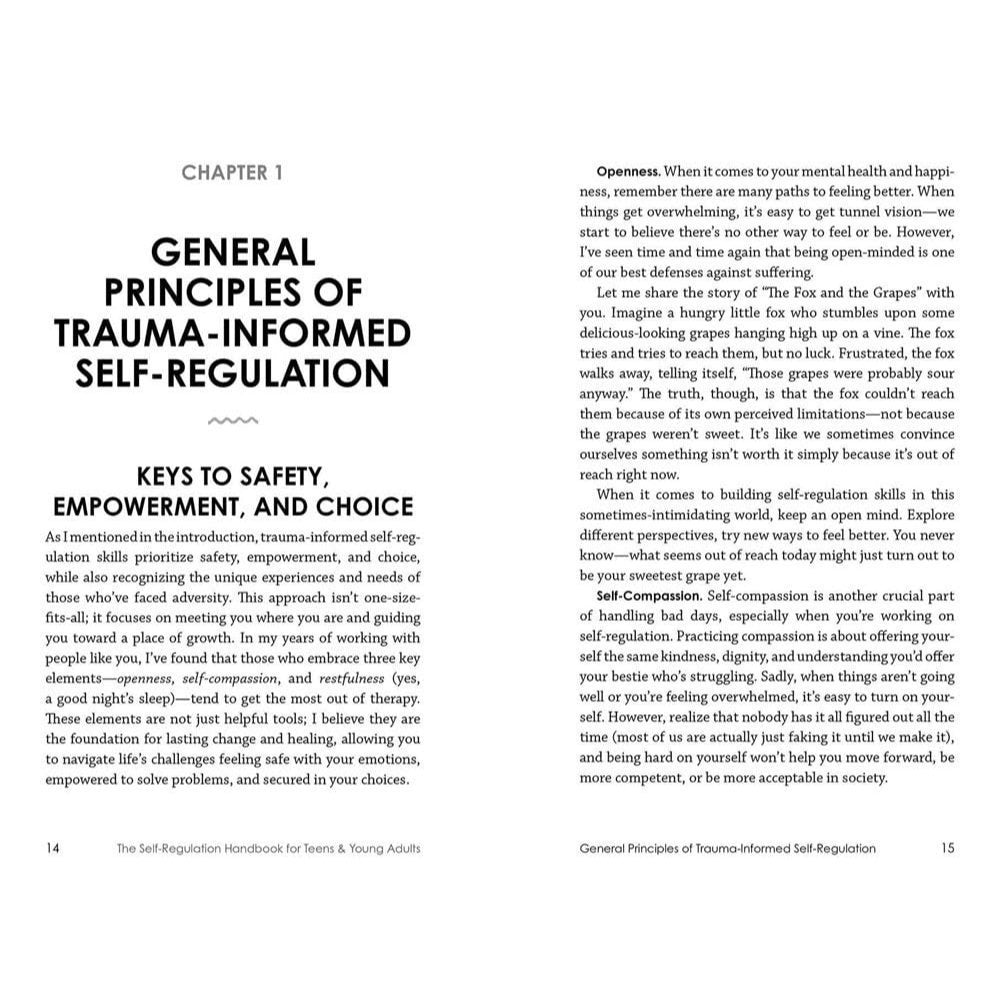 The Self-Regulation Handbook for Teens and Young Adults: A Trauma-Informed Guide to Fostering Personal Resilience and Enhancing Interpersonal Skills