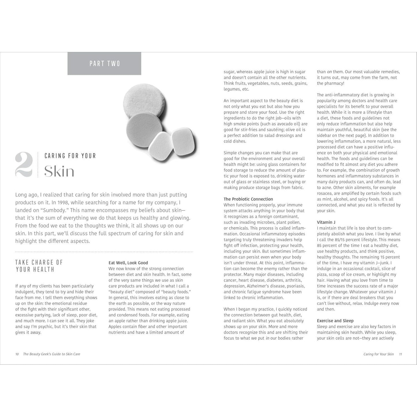 The Beauty Geek's Guide to Skin Care: 1,000 Essential Definitions of Common Product Ingredients